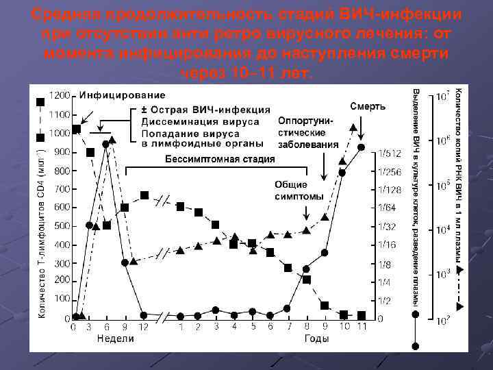  Средняя продолжительность стадий ВИЧ-инфекции при отсутствии анти ретро вирусного лечения: от момента инфицирования