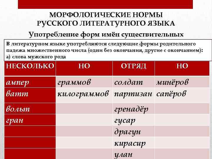 МОРФОЛОГИЧЕСКИЕ НОРМЫ РУССКОГО ЛИТЕРАТУРНОГО ЯЗЫКА Употребление форм имён существительных В литературном языке употребляются следующие