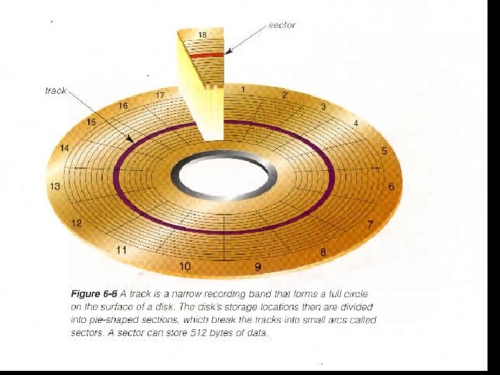 Characteristics of a floppy disk • Formatting is the process of preparing a disk