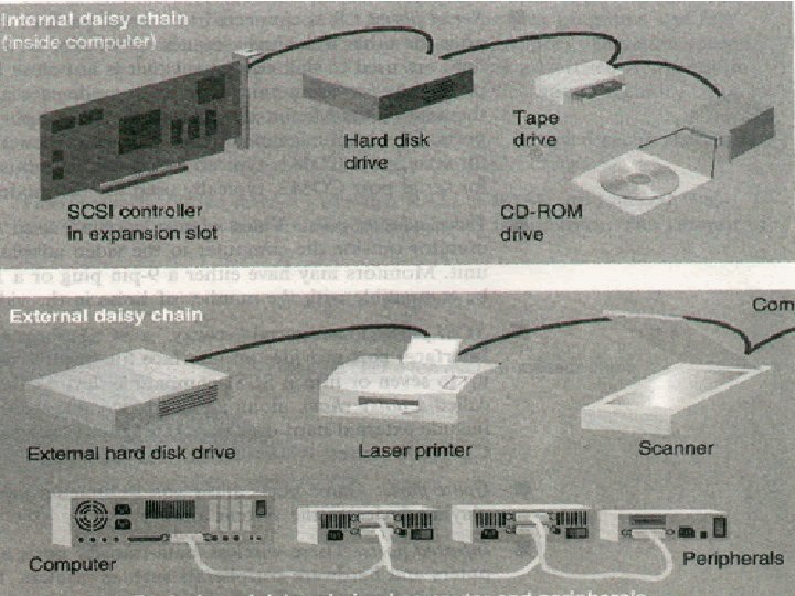 Ports • SCSI ports: Pronounced 