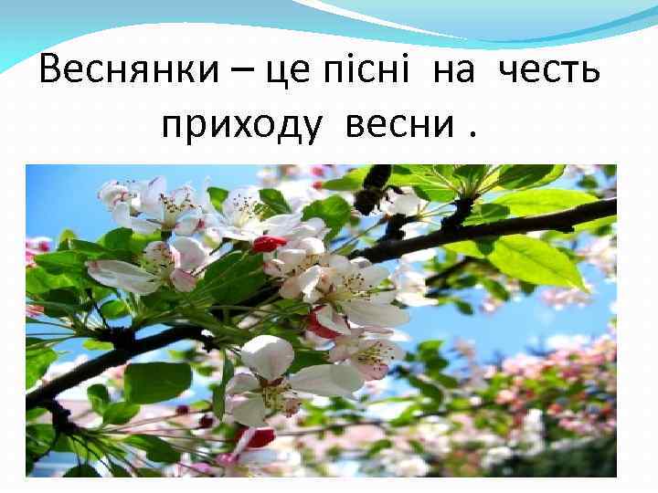 Веснянки – це пісні на честь приходу весни. 