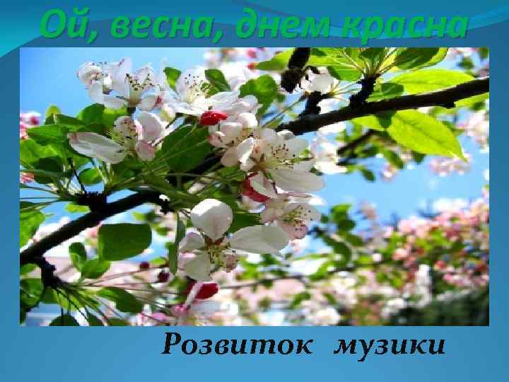 Ой, весна, днем красна Розвиток музики 
