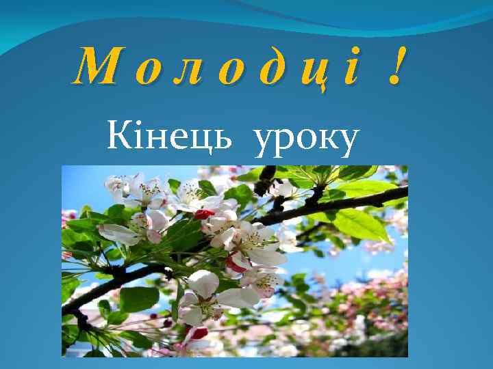 Молодці ! Кінець уроку 
