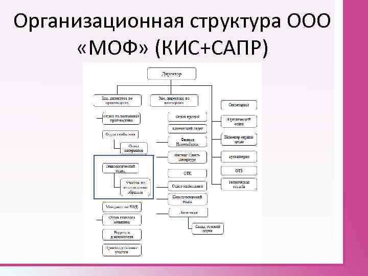 Организационная структура ООО «МОФ» (КИС+САПР) 