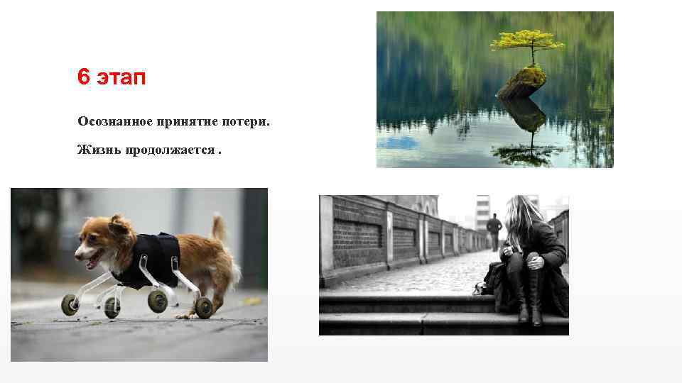 6 этап Осознанное принятие потери. Жизнь продолжается. 