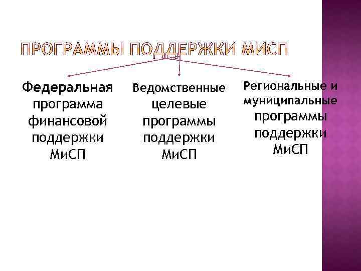 Федеральная программа финансовой поддержки Ми. СП Ведомственные целевые программы поддержки Ми. СП Региональные и