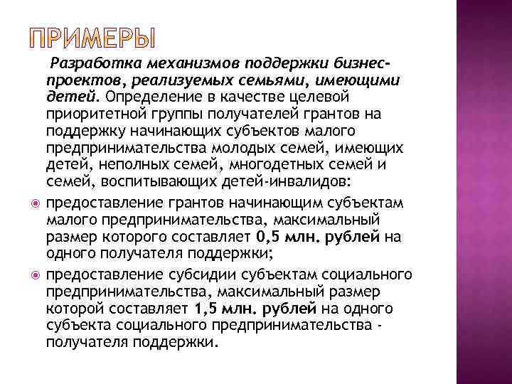  Разработка механизмов поддержки бизнеспроектов, реализуемых семьями, имеющими детей. Определение в качестве целевой приоритетной