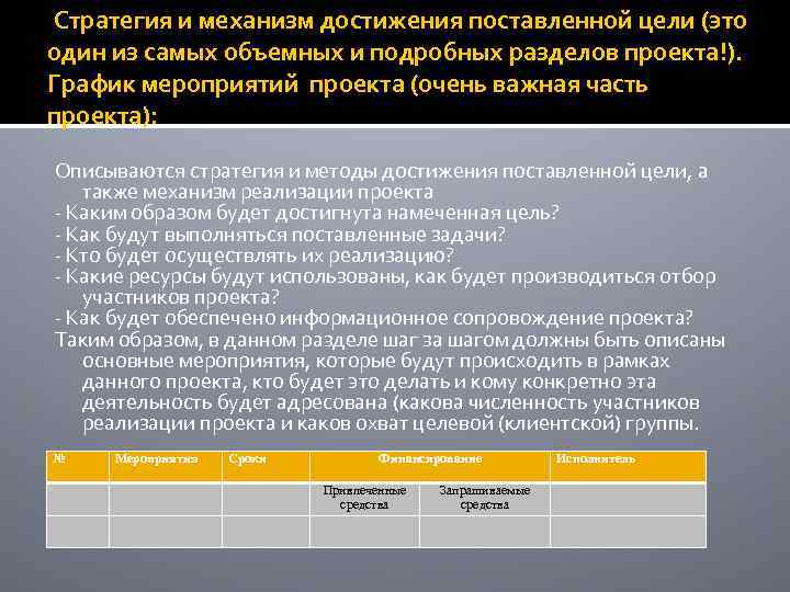 Описание проекта стратегия и механизмы достижения поставленных целей