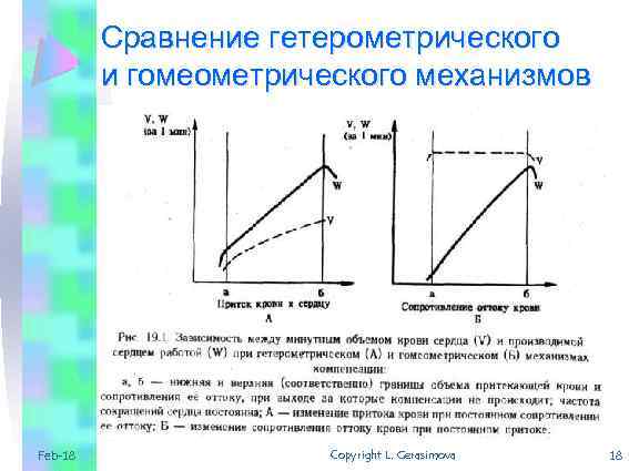 Сравнение гетерометрического и гомеометрического механизмов Feb-18 Copyright L. Gerasimova 18 