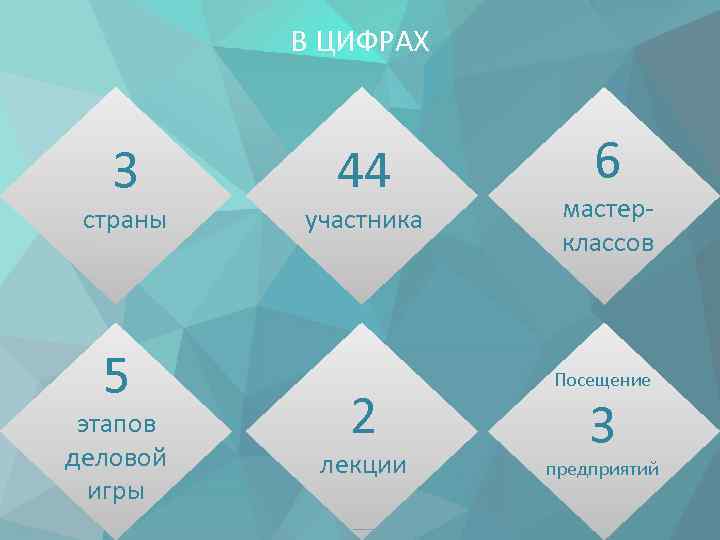 В ЦИФРАХ 3 страны 5 этапов деловой игры 44 участника 2 лекции 6 мастерклассов
