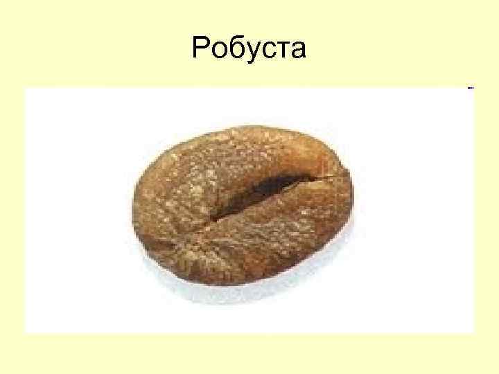 Робуста 