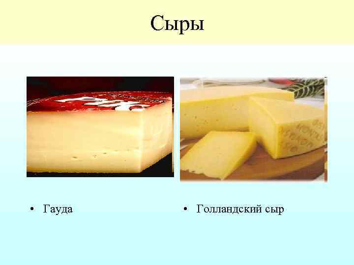 Сыры • Гауда • Голландский сыр 