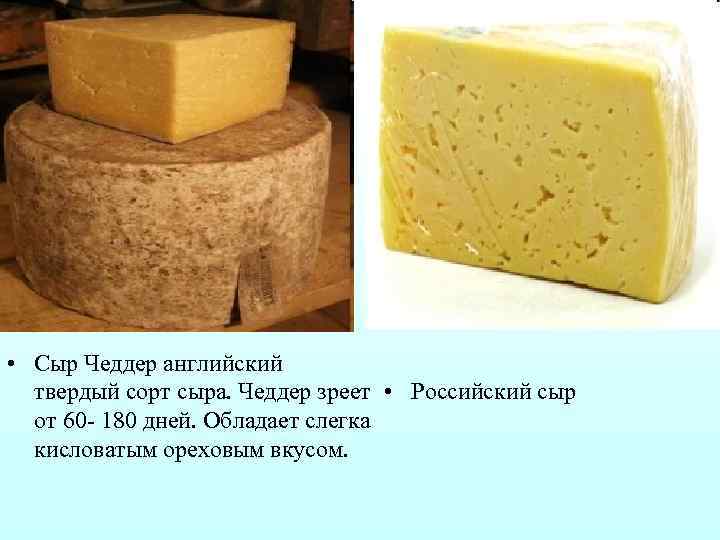  • Сыр Чеддер английский твердый сорт сыра. Чеддер зреет • Российский сыр от