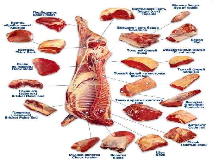 Мышца говядины. Наружная часть бедра говядина. Разделка говядины туши глазной Мускул. Как называются части говядины. Глазной Мускул часть туши.