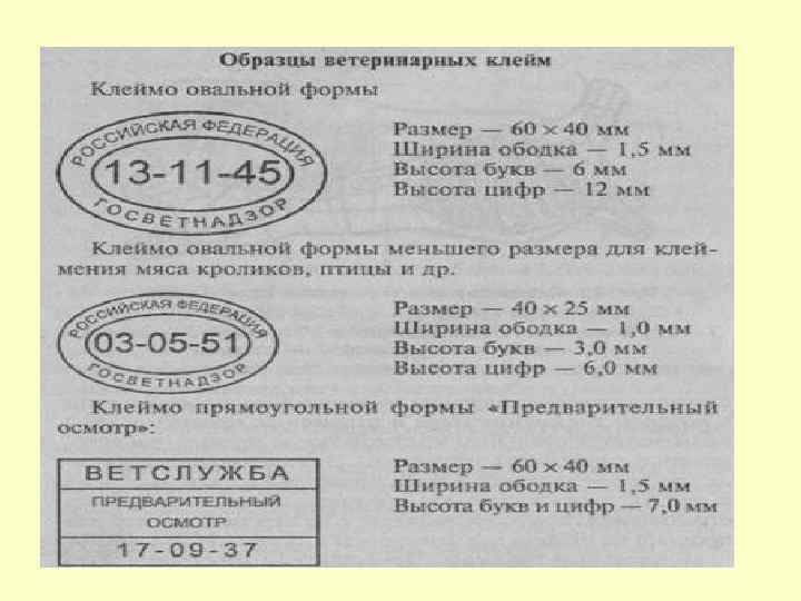 Рецепт ветеринарный образец