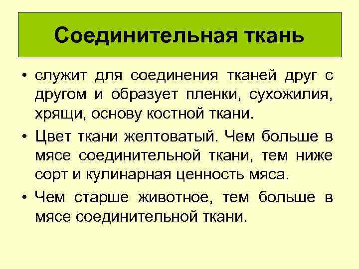 Соединительная ткань • служит для соединения тканей друг с другом и образует пленки, сухожилия,