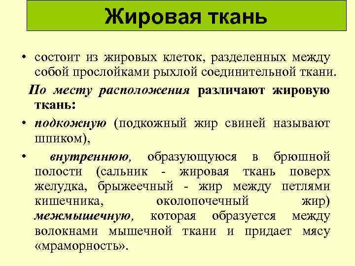 Жировая ткань • состоит из жировых клеток, разделенных между собой прослойками рыхлой соединительной ткани.