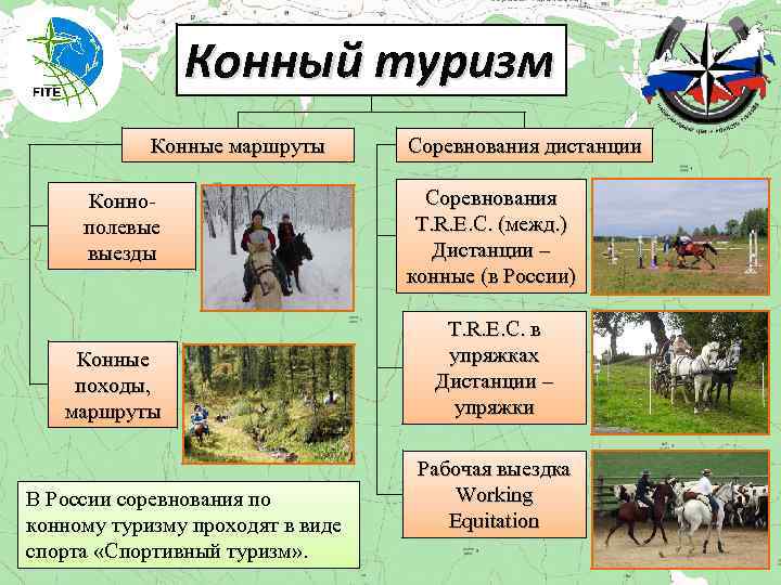 Конный туризм Конные маршруты Коннополевые выезды Конные походы, маршруты В России соревнования по конному