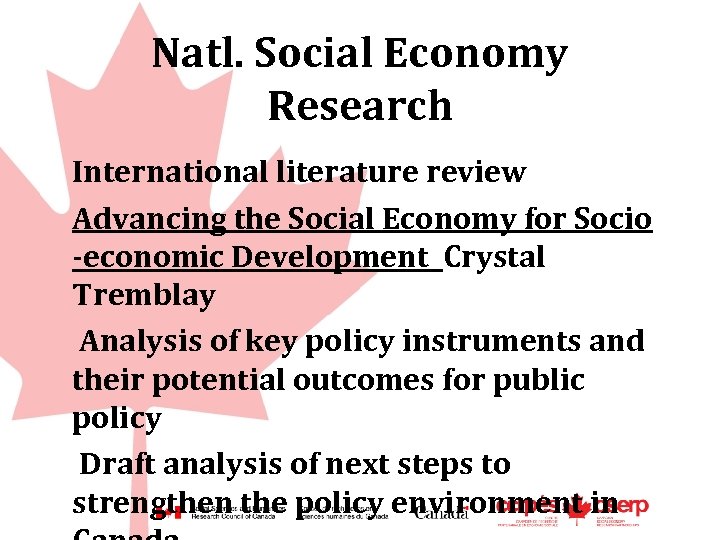 Natl. Social Economy Research International literature review Advancing the Social Economy for Socio -economic