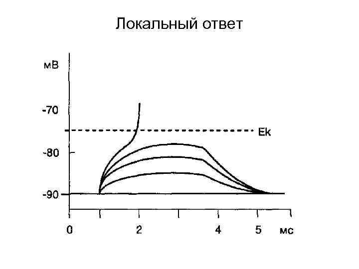 Локальный ответ 