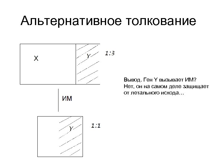 Альтернативное толкование Вывод. Ген Y вызывает ИМ? Нет, он на самом деле защищает от