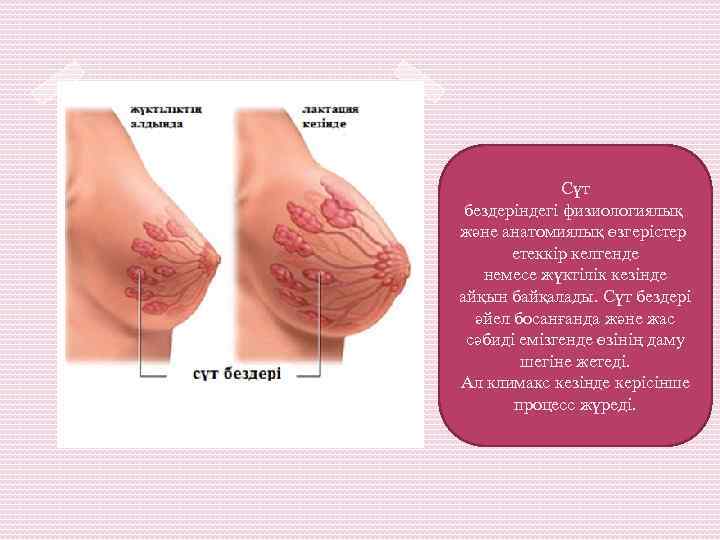 Cүт бездеріндегі физиологиялық және анатомиялық өзгерістер етеккір келгенде немесе жүктілік кезінде айқын байқалады. Cүт