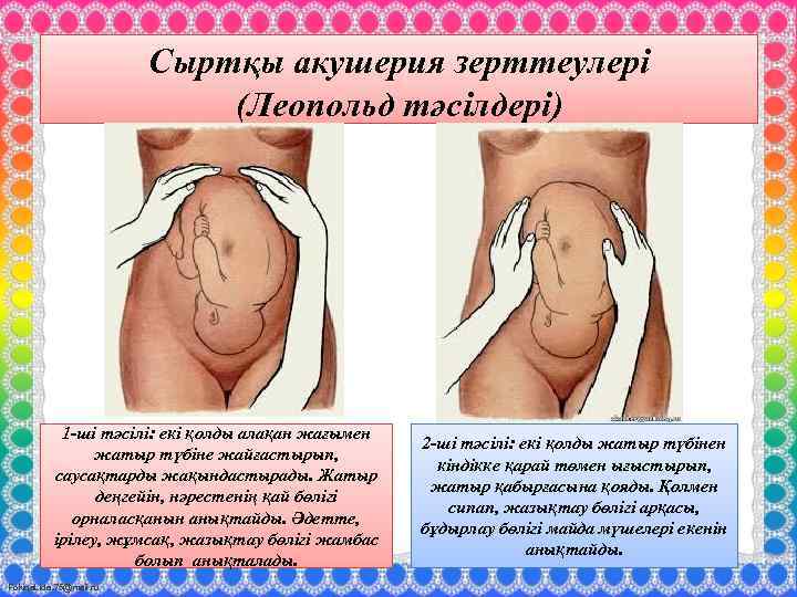 Сыртқы акушерия зерттеулері (Леопольд тәсілдері) 1 -ші тәсілі: екі қолды алақан жағымен жатыр түбіне