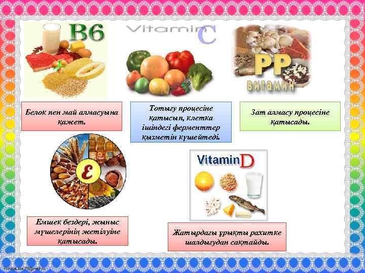 Белок пен май алмасуына қажет. Емшек бездері, жыныс мүшелерінің жетілуіне қатысады. Fokina. Lida. 75@mail.