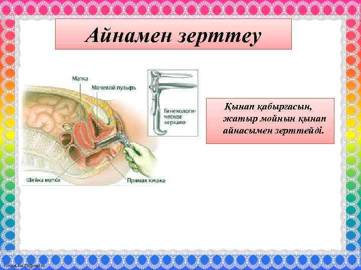 Айнамен зерттеу Қынап қабырғасын, жатыр мойнын қынап айнасымен зерттейді. Fokina. Lida. 75@mail. ru 
