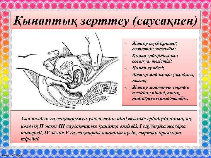 Қынаптық зерттеу (саусақпен) - Жатыр түбі бұлшық еттерінің жағдайы; Қынап қабырғасының созылуы, тегістігі; Қынап