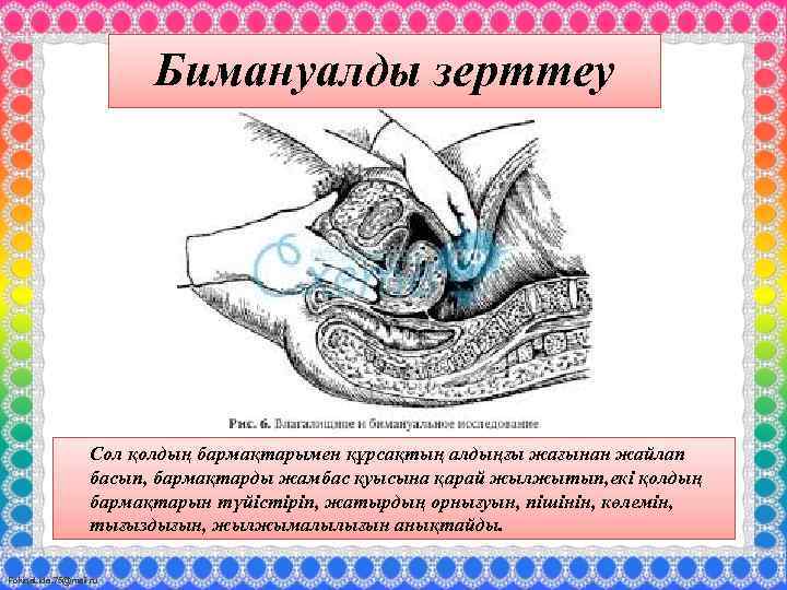Бимануалды зерттеу Сол қолдың бармақтарымен құрсақтың алдыңғы жағынан жайлап басып, бармақтарды жамбас қуысына қарай