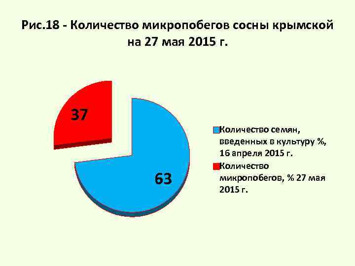 Рис. 18 - Количество микропобегов сосны крымской на 27 мая 2015 г. 37 63