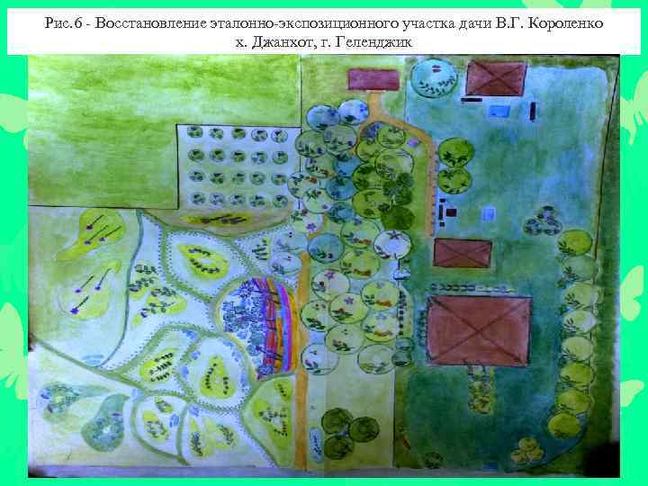 Рис. 6 - Восстановление эталонно-экспозиционного участка дачи В. Г. Короленко х. Джанхот, г. Геленджик