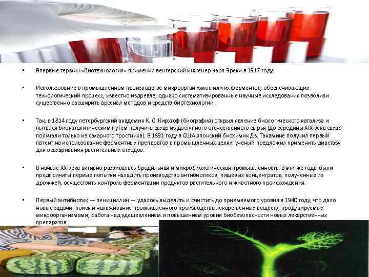  • Впервые термин «биотехнология» применил венгерский инженер Карл Эреки в 1917 году. •