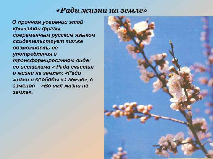  «Ради жизни на земле» О прочном усвоении этой крылатой фразы современным русским языком
