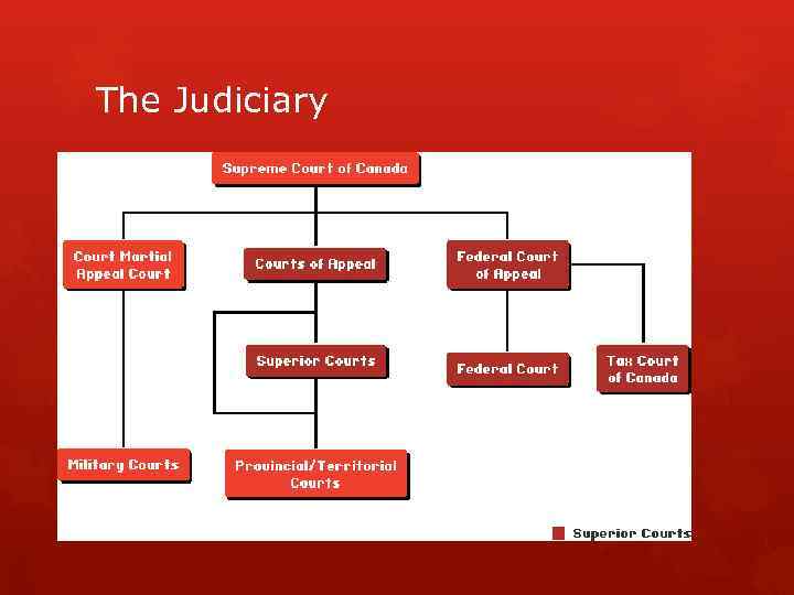 The Judiciary 