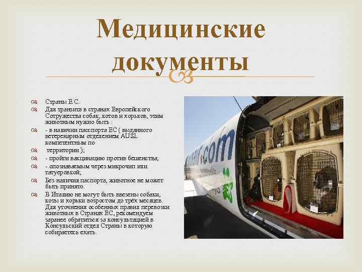 Медицинские документы Страны Е. С. Для транзита в странах Европейского Сотружества собак, котов и
