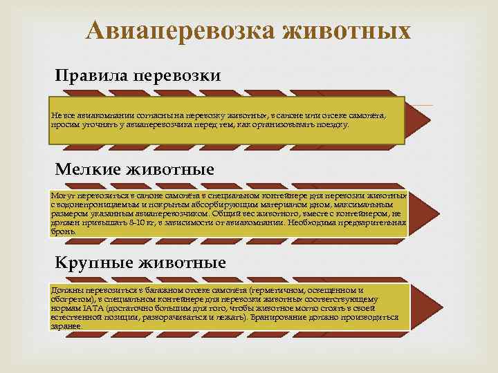 Авиаперевозка животных Правила перевозки Не все авиакомпании согласны на перевозку животных, в салоне или