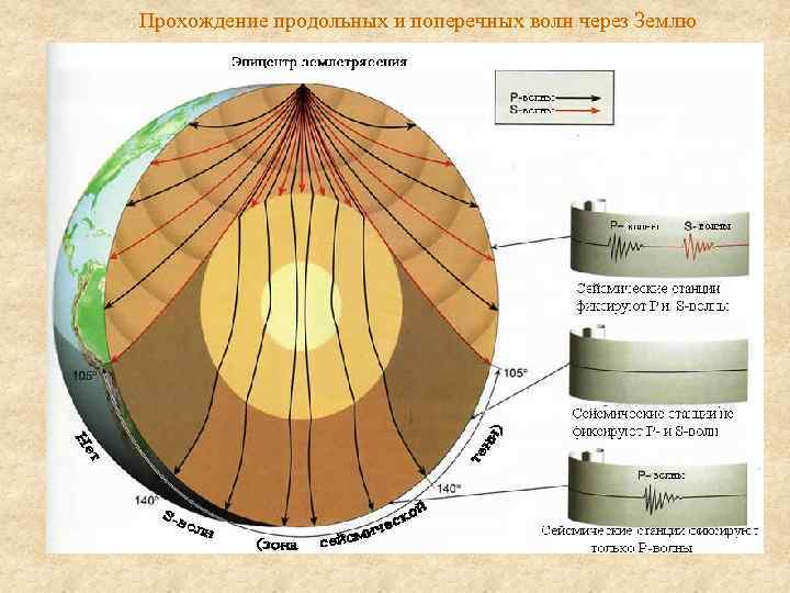 Прохождение продольных и поперечных волн через Землю 