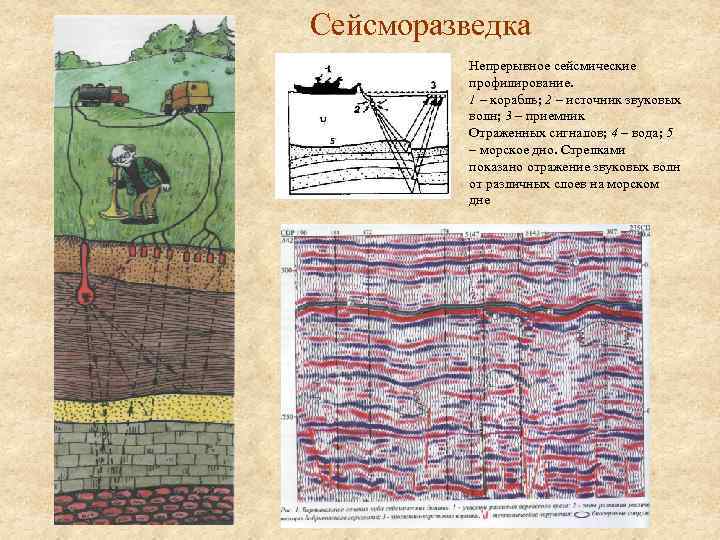 Сейсморазведка. Сейсмические исследования. Наземная Сейсморазведка. Скважинная Сейсморазведка.