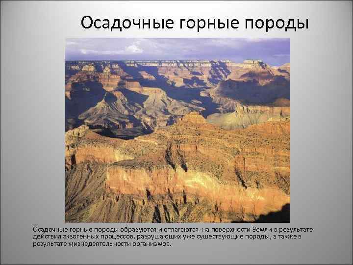 Осадочные горные породы образуются и отлагаются на поверхности Земли в результате действия экзогенных процессов,