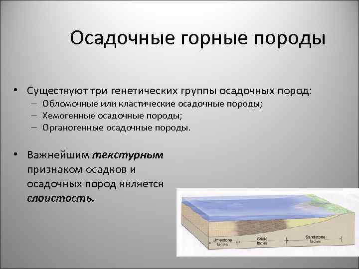 Осадочные горные породы • Существуют три генетических группы осадочных пород: – Обломочные или кластические