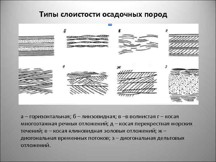 Типы слоистости осадочных пород а – горизонтальная; б – линзовидная; в –в волнистая г