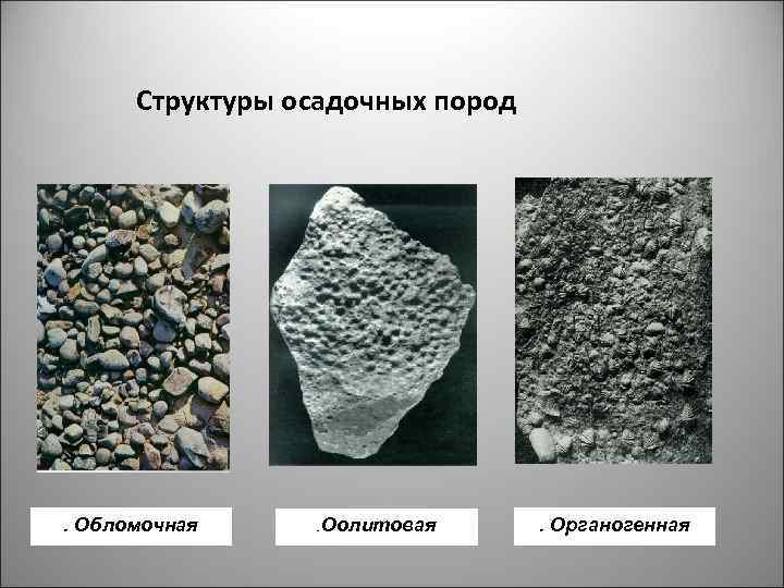 Структуры осадочных пород . Обломочная . Оолитовая . Органогенная 