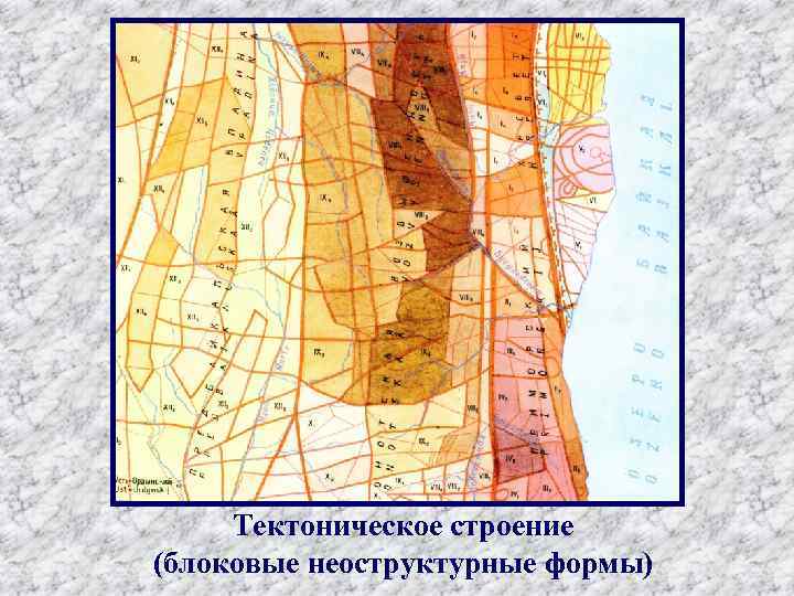 Тектоническое строение (блоковые неоструктурные формы) 