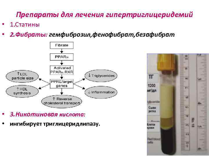 Препараты для лечения гипертриглицеридемий • 1. Статины • 2. Фибраты: гемфиброзил, фенофибрат, безафибрат •