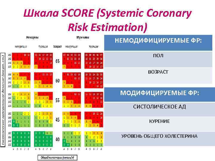 Шкала SCORE (Systemic Coronary Risk Estimation) НЕМОДИФИЦИРУЕМЫЕ ФР: ПОЛ ВОЗРАСТ МОДИФИЦИРУЕМЫЕ ФР: СИСТОЛИЧЕСКОЕ АД