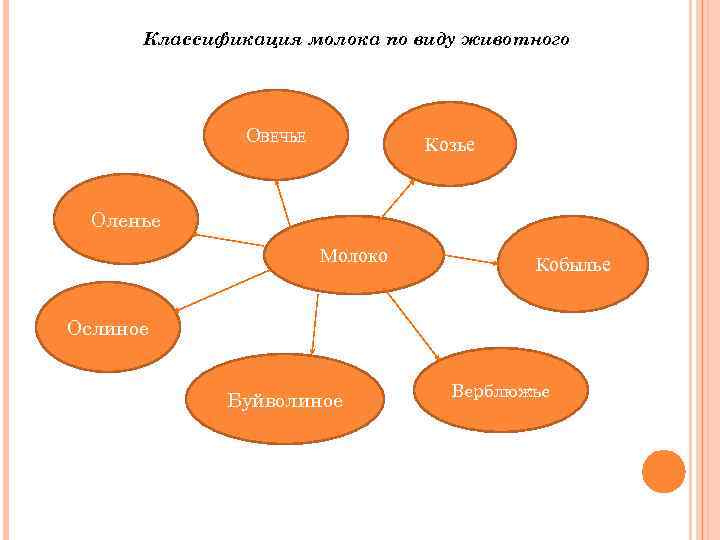 Классификация молока по виду животного ОВЕЧЬЕ Козье Оленье Молоко Кобылье Ослиное Буйволиное Верблюжье 