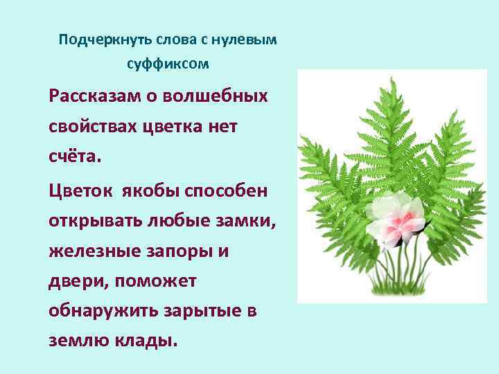 Подчеркнуть слова с нулевым суффиксом Рассказам о волшебных свойствах цветка нет счёта. Цветок якобы