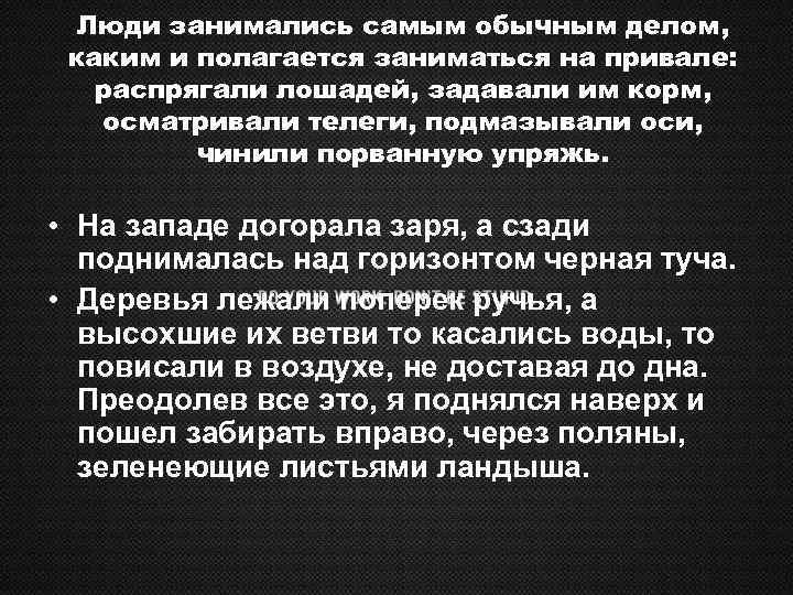 Люди занимались самым обычным делом, каким и полагается заниматься на привале: распрягали лошадей, задавали